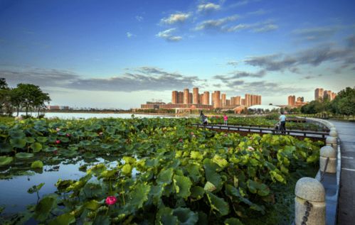 老僑喜看南京環保成就 兩會推動城市綠色發展